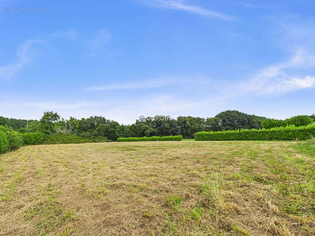 Terrain à SAINT-NIC