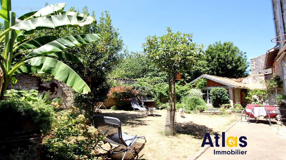 Maison à CELLES-SUR-BELLE