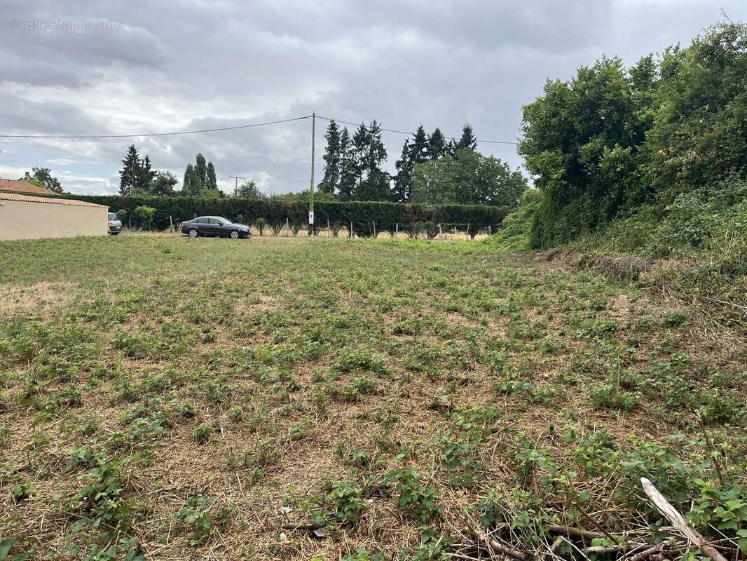 Terrain à MAZEROLLES