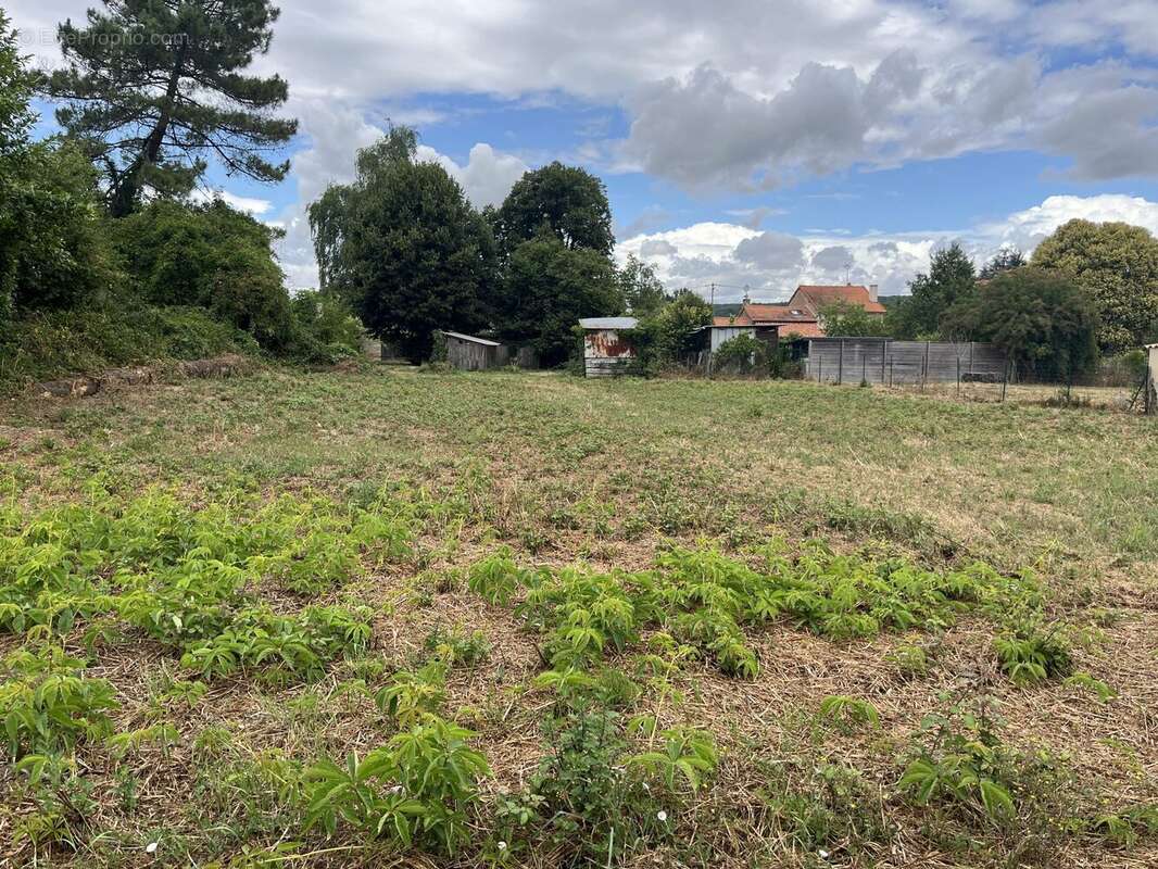 Terrain à MAZEROLLES