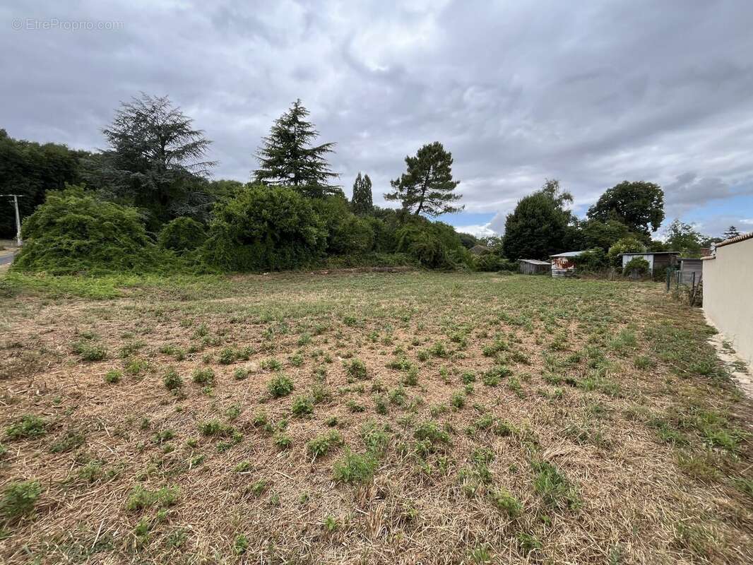 Terrain à MAZEROLLES