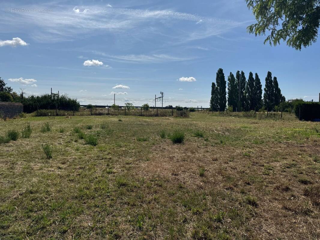 Photo 1 - Terrain à ARTENAY