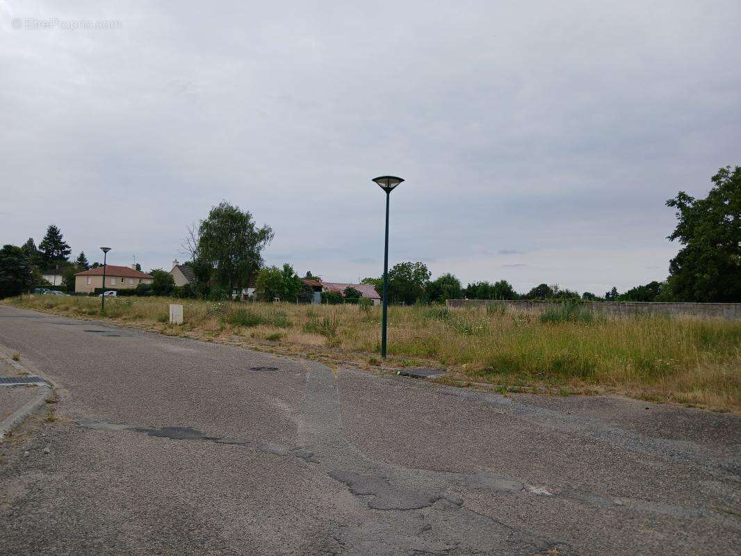 Terrain à SOUVIGNY