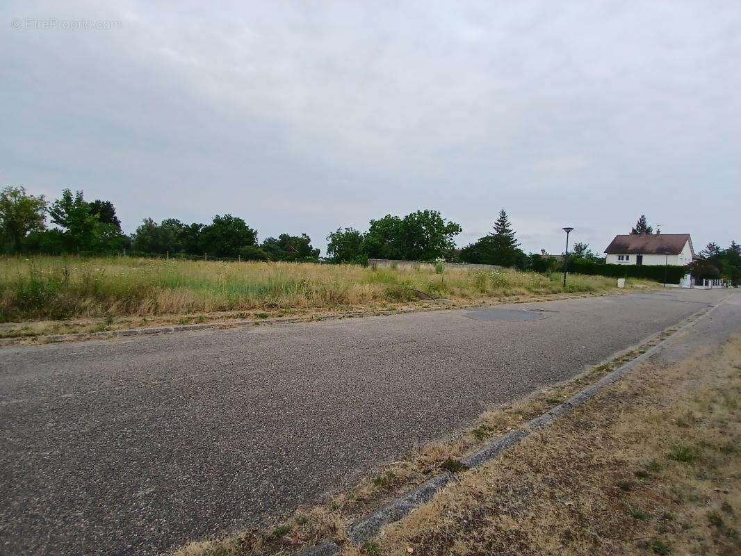 Terrain à SOUVIGNY