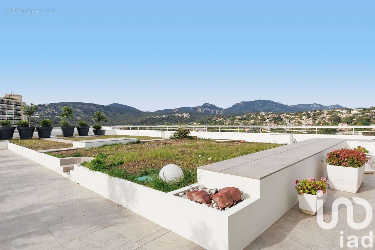 Photo 3 - Appartement à MANDELIEU-LA-NAPOULE