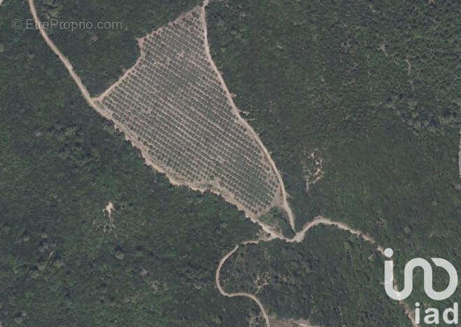 Photo 5 - Terrain à LE BOSC