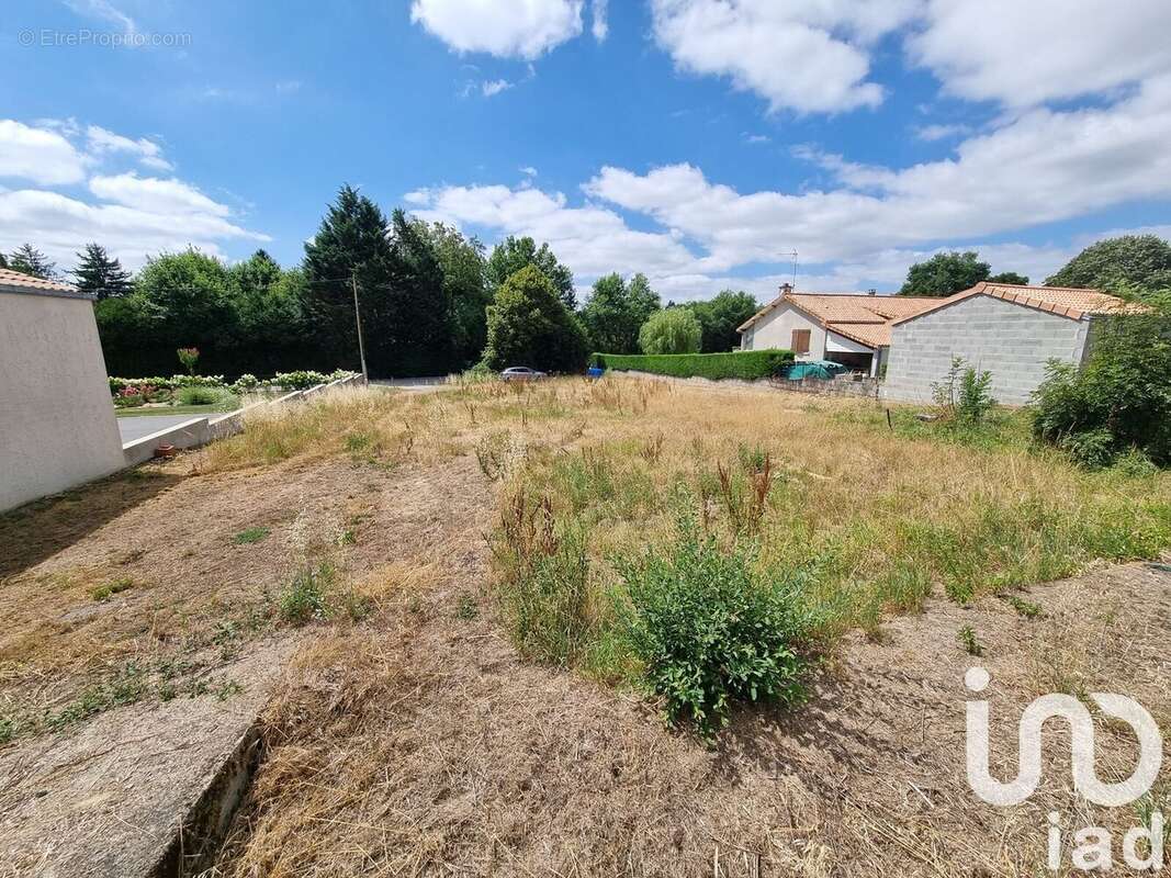 Photo 3 - Terrain à LE TALLUD