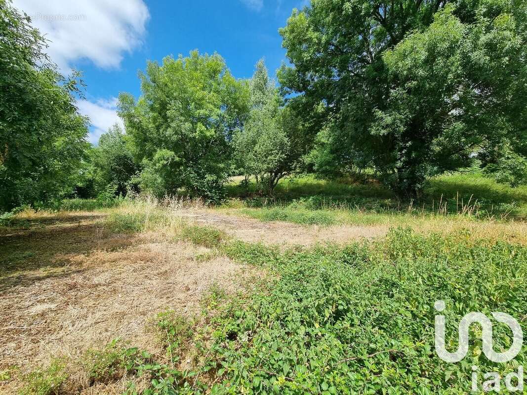 Photo 4 - Terrain à LE TALLUD