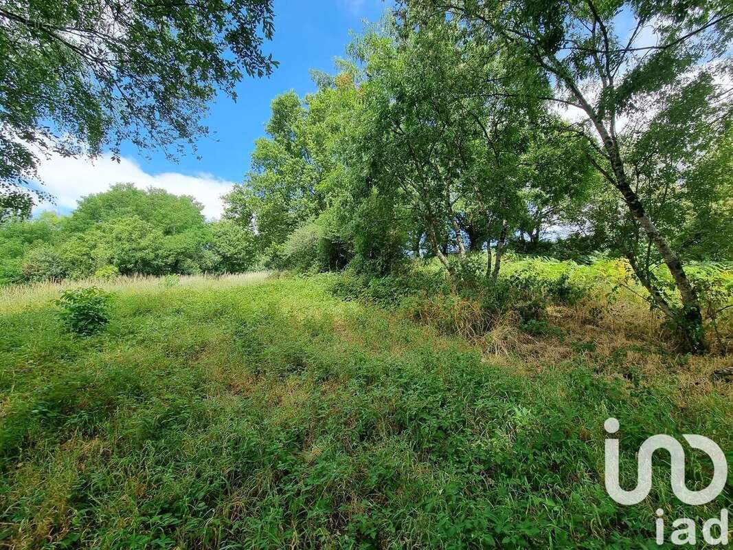 Photo 5 - Terrain à LE TALLUD