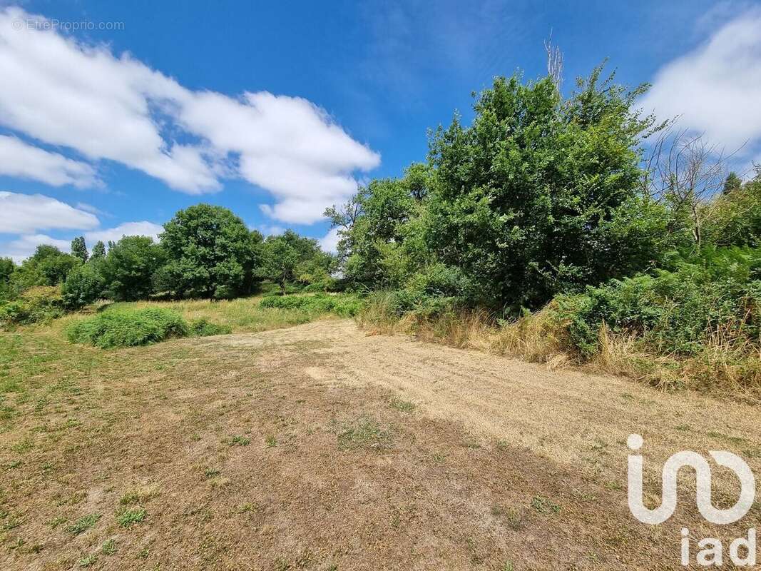 Photo 9 - Terrain à LE TALLUD