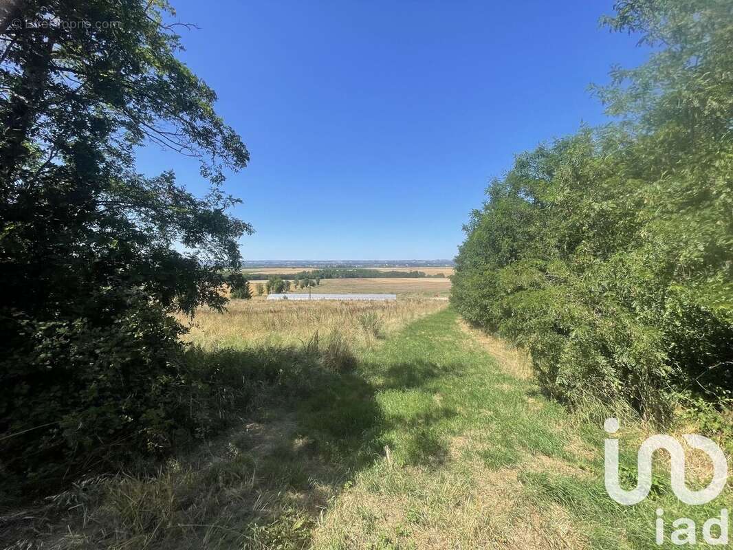 Photo 7 - Maison à LENS-LESTANG