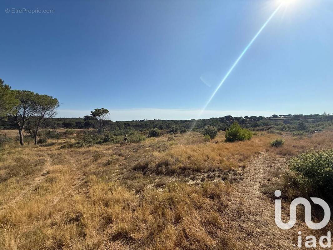 Photo 1 - Terrain à VAUVERT