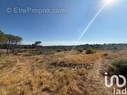 Photo 1 - Terrain à VAUVERT