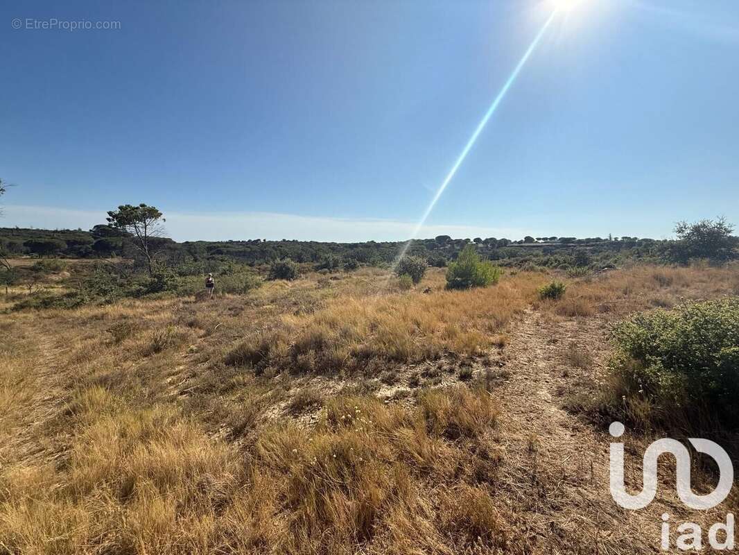 Photo 2 - Terrain à VAUVERT