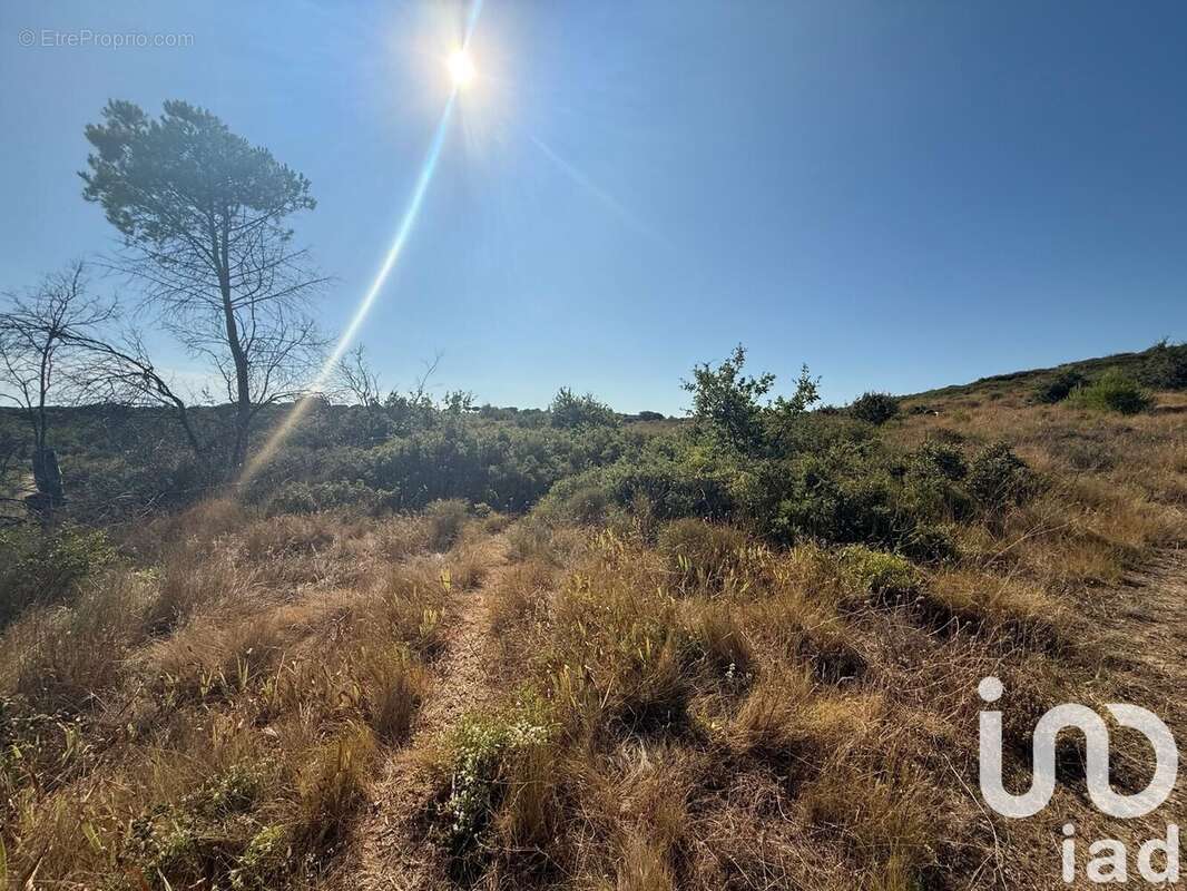 Photo 3 - Terrain à VAUVERT