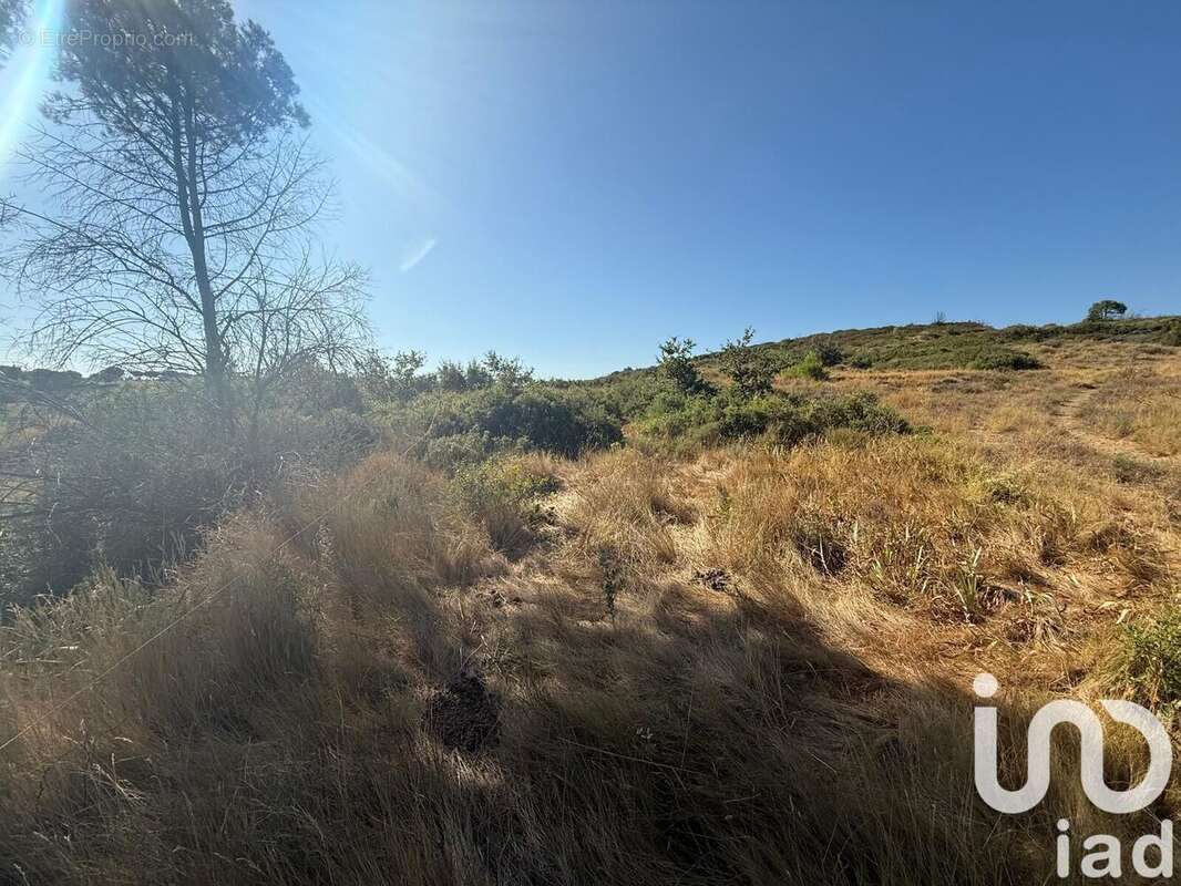 Photo 4 - Terrain à VAUVERT