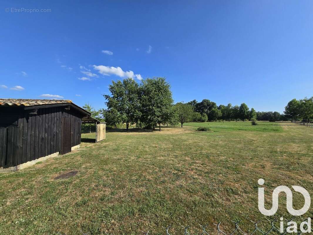 Photo 7 - Terrain à SAINT-CAPRAIS-DE-BORDEAUX