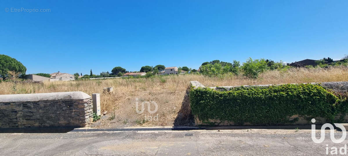 Photo 2 - Terrain à AZILLE