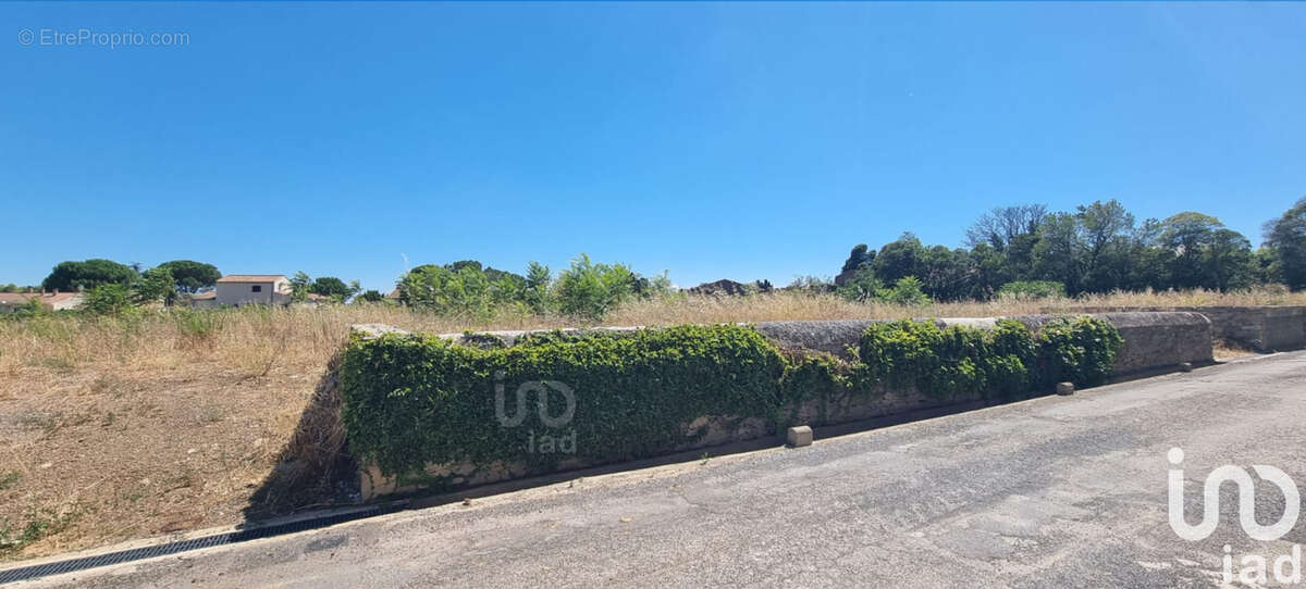 Photo 3 - Terrain à AZILLE
