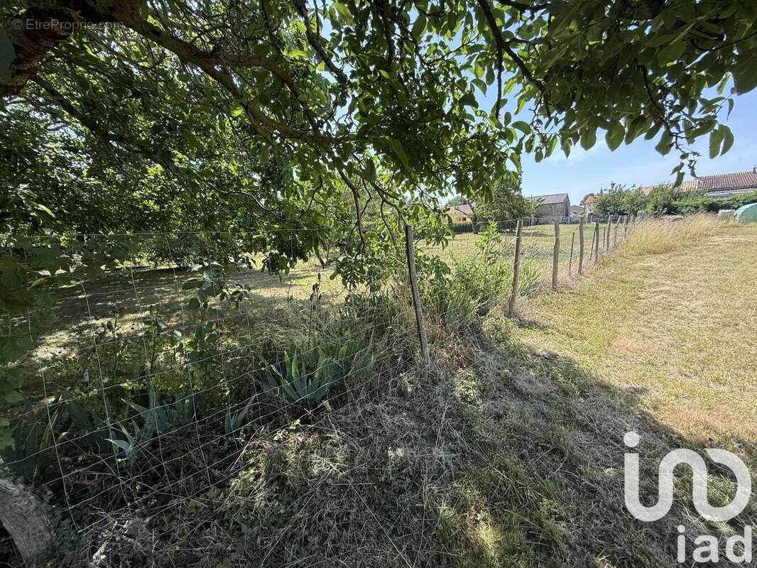 Photo 2 - Terrain à LINIERS