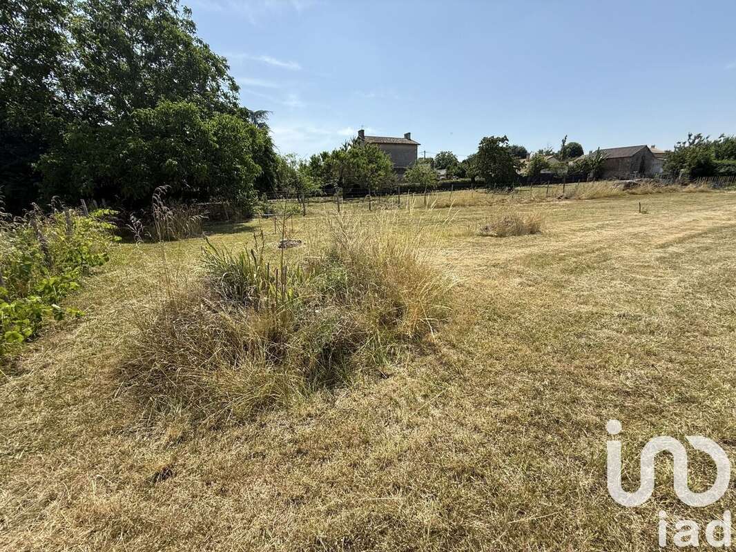 Photo 4 - Terrain à LINIERS