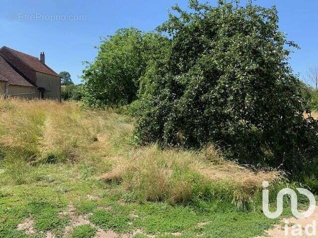 Photo 5 - Terrain à LA CELLE-SAINT-CYR