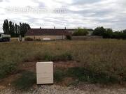 Photo 1 - Terrain à MONTPELLIER-DE-MEDILLAN