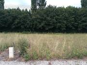 Photo 1 - Terrain à MONTPELLIER-DE-MEDILLAN