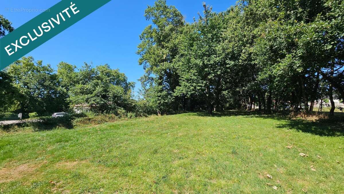 Photo 3 - Terrain à MONCLAR-DE-QUERCY
