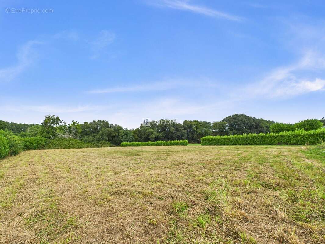 Terrain à SAINT-NIC