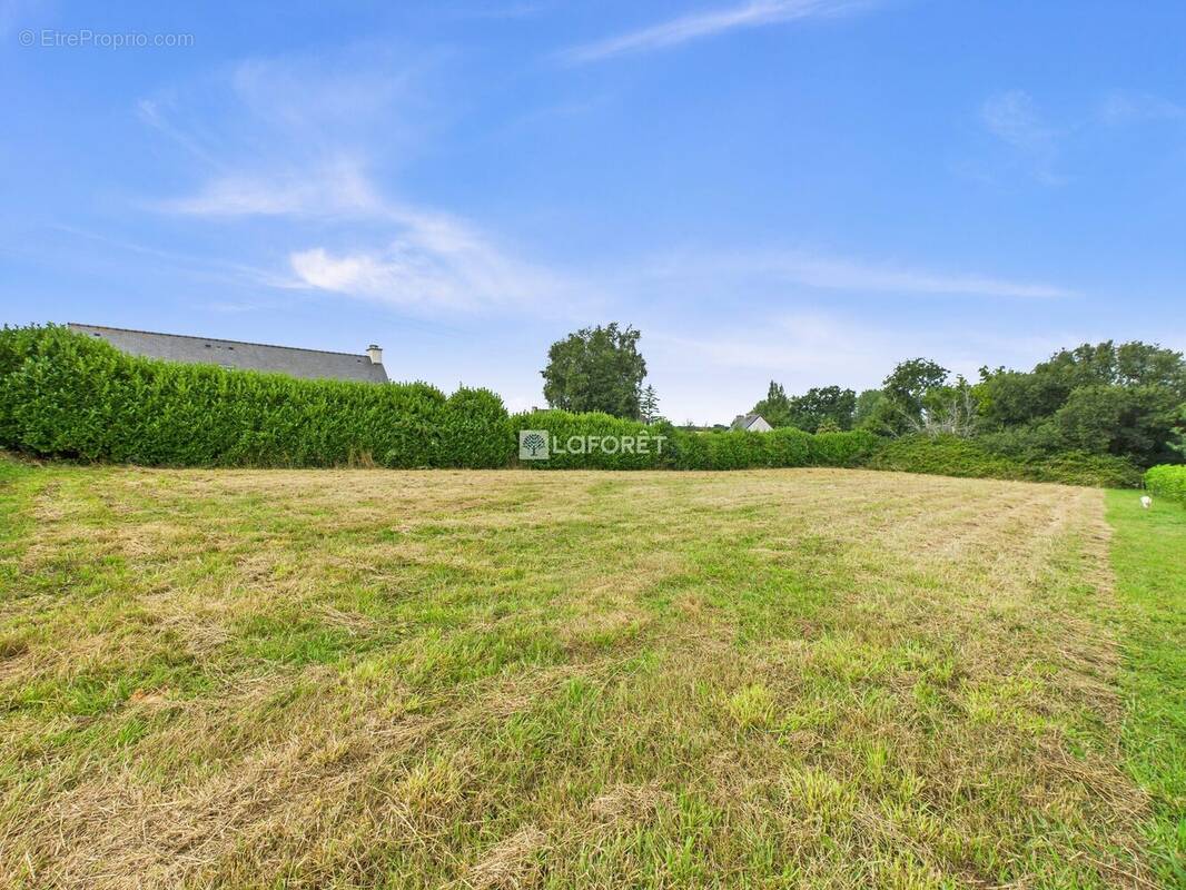 Terrain à SAINT-NIC