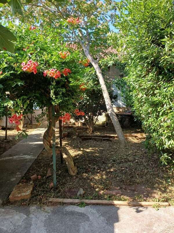 Maison à VILLEFRANCHE-D&#039;ALBIGEOIS