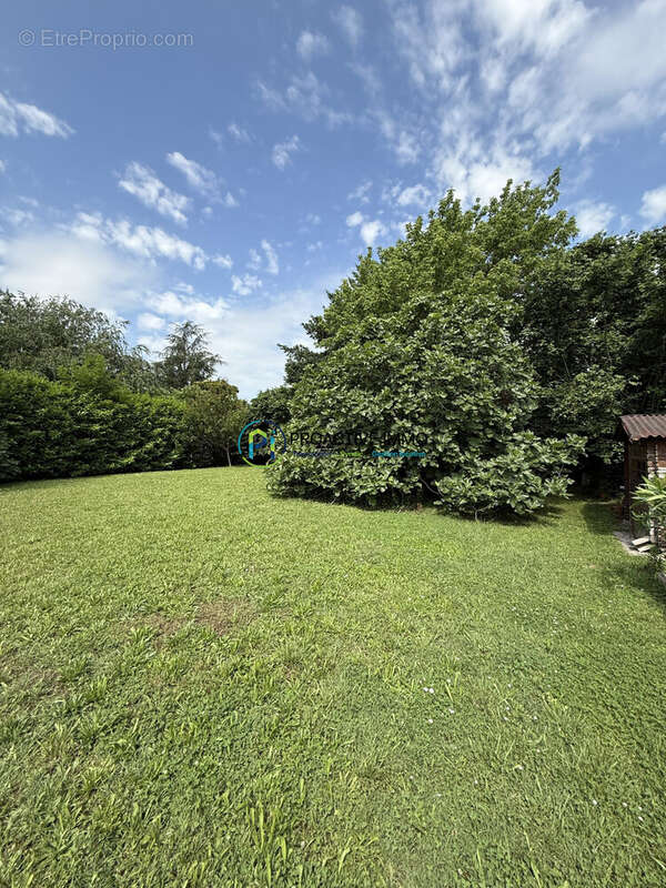 Terrain à PORTET-SUR-GARONNE