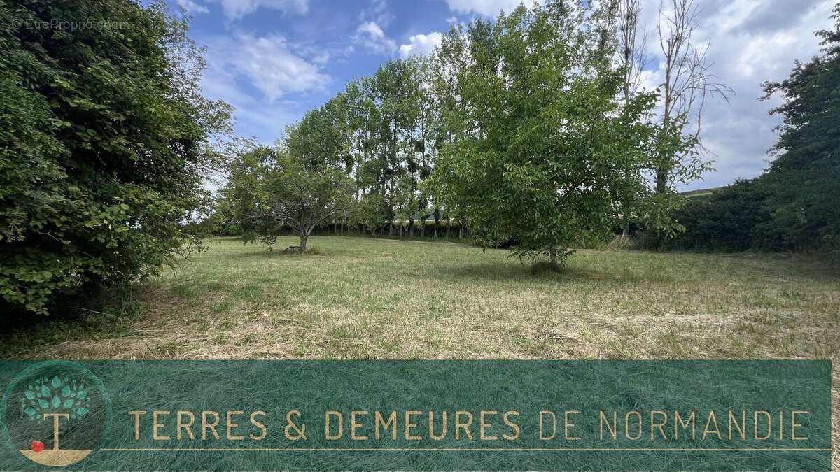 Maison à SAINT-RIQUIER-EN-RIVIERE