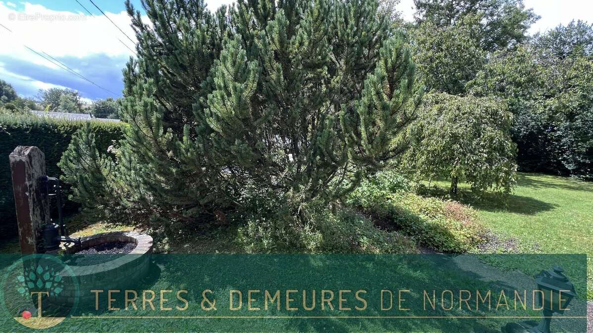 Maison à SAINT-RIQUIER-EN-RIVIERE