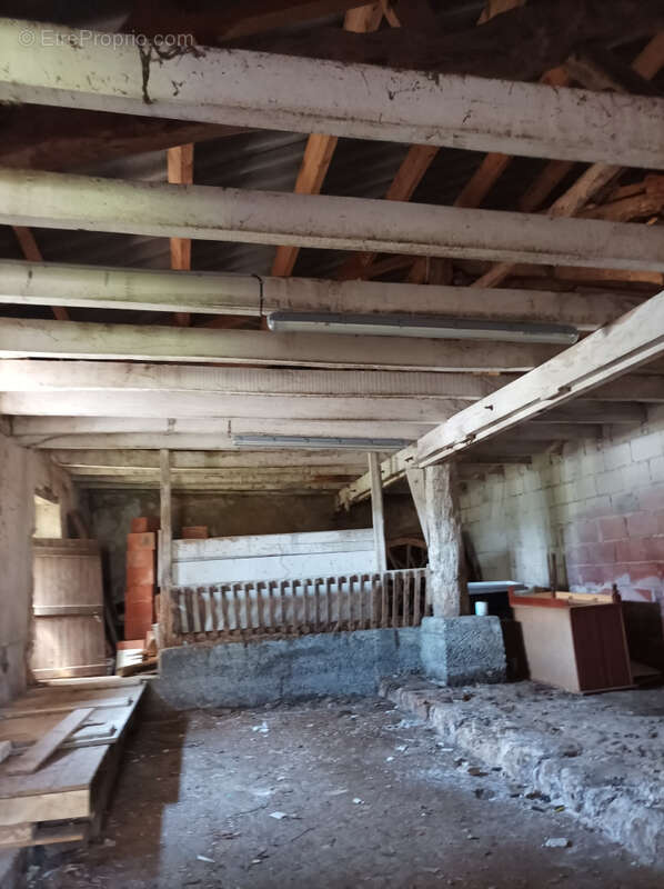 Maison à MONTAIGU-DE-QUERCY