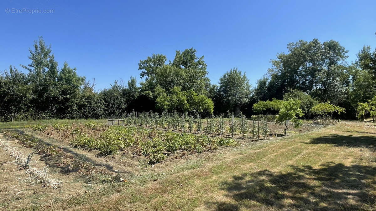 Maison à SAINT-SYMPHORIEN