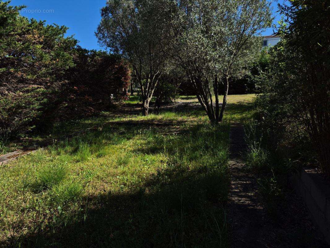 Maison à CARCASSONNE