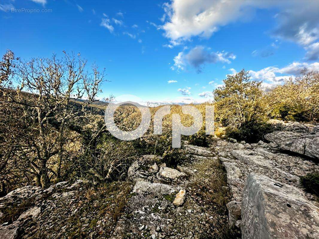 Terrain à SAINT-ANDRE-DE-CRUZIERES