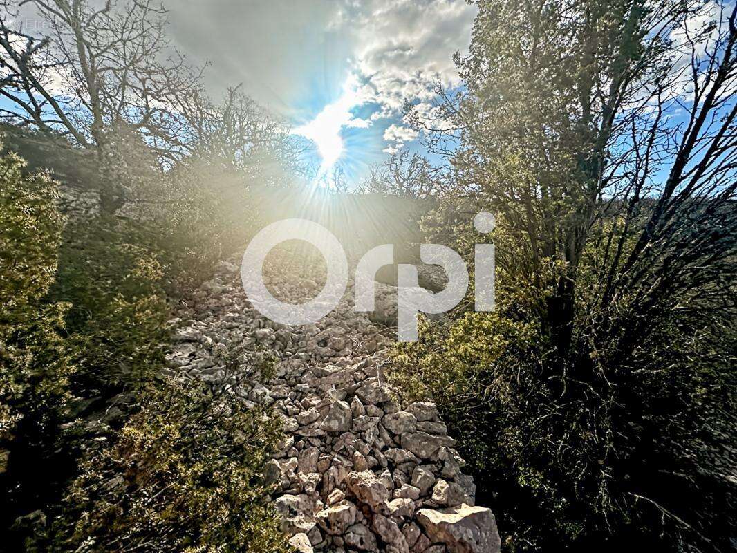 Terrain à SAINT-ANDRE-DE-CRUZIERES