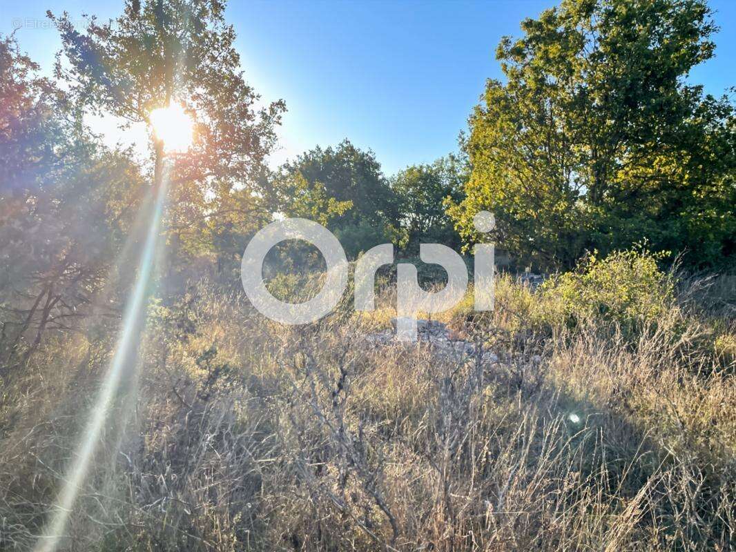Terrain à SAINT-ANDRE-DE-CRUZIERES
