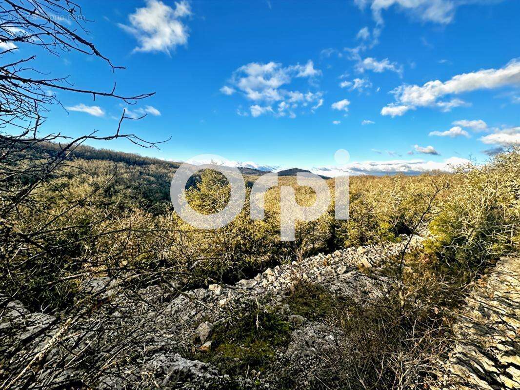 Terrain à SAINT-ANDRE-DE-CRUZIERES