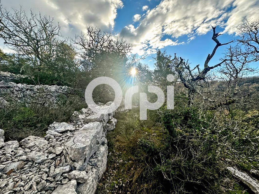 Terrain à SAINT-ANDRE-DE-CRUZIERES