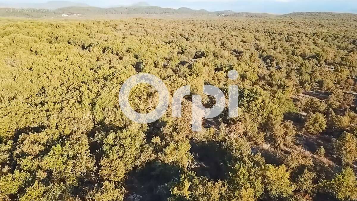 Terrain à SAINT-ANDRE-DE-CRUZIERES