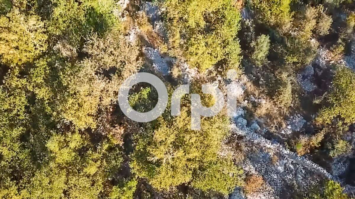 Terrain à SAINT-ANDRE-DE-CRUZIERES