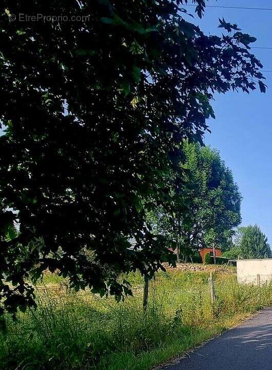 Terrain à LE PERTUIS