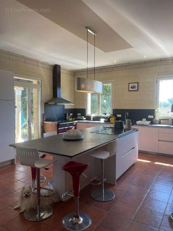 Maison à CORDES-SUR-CIEL