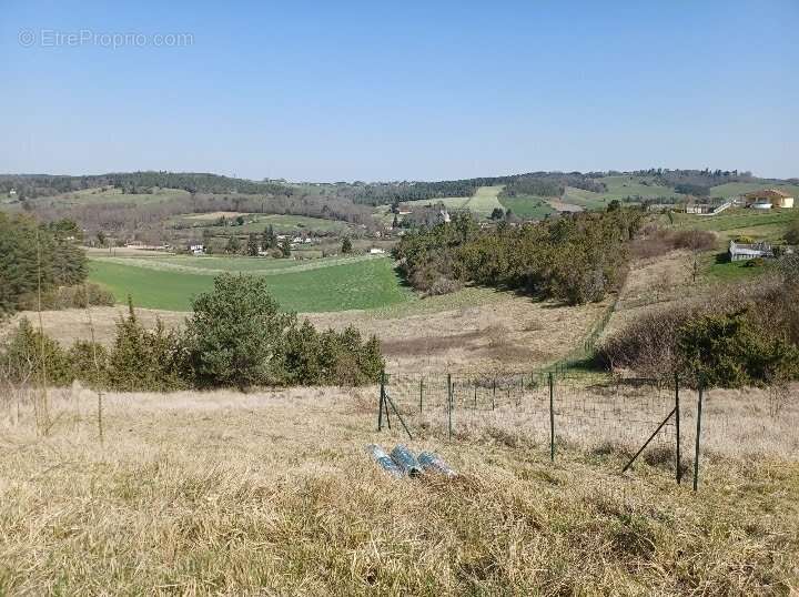 Terrain à SAINT-PIERRE-DE-CHIGNAC