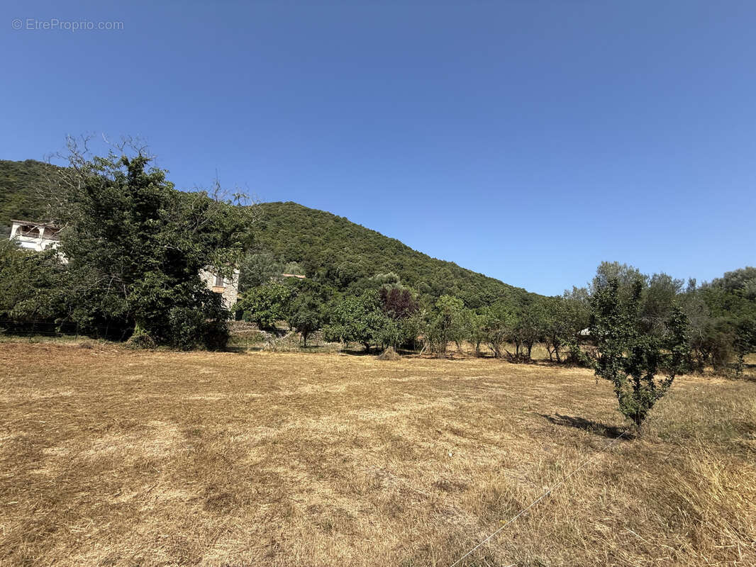 Terrain à SERRA-DI-FIUMORBO