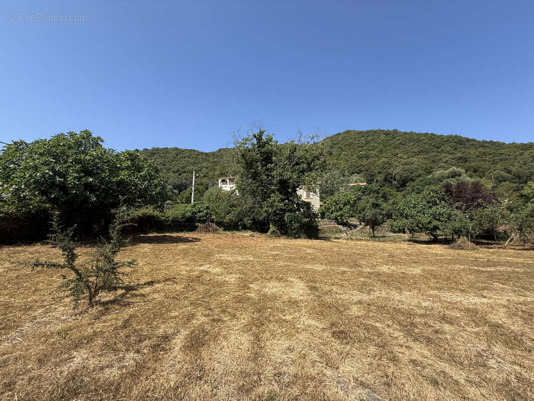 Terrain à SERRA-DI-FIUMORBO